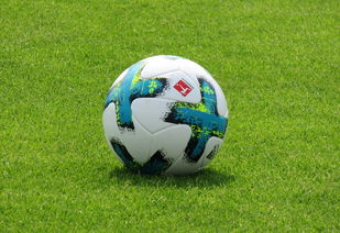 多特蒙德防线再失误，错失榜首机会，多特蒙德ds